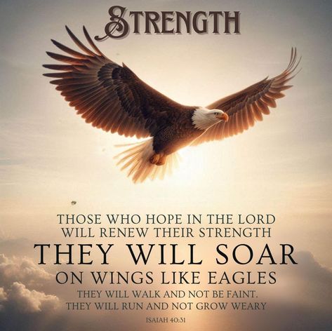 Isaiah 40:31 Scripture Print | Christian Wall Art | Digital Download Inspire your home or workspace with this beautiful and uplifting scripture from Isaiah 40:31: "But those who hope in the Lord will renew their strength. They will soar on wings like eagles." This timeless verse is elegantly displayed alongside a serene design of an eagle soaring high, symbolizing strength, faith, and renewal. This digital download is perfect for Christian decor, adding a touch of peace and encouragement to any space. Whether you want to print it as wall art, add it to a gallery wall, or gift it to a loved one, this scripture print will serve as a daily reminder of God's promises. What's Included: High-resolution JPG file (300 dpi) for sharp, high-quality prints Available in multiple sizes: 8x10 inches, 9X Rise Up On Wings Like Eagles, Soar On Wings Like Eagles Verse, Bible Scriptures For Strength, Wings Like Eagles Bible, Bible Verse For Encouragement, Hope In The Lord, Eagle Soaring, Serene Design, Bible Verse Decor