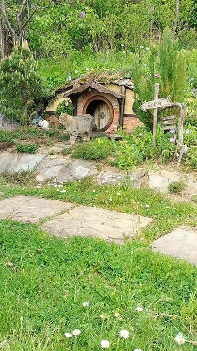 The Thief. #cat #cathouse #hobbithouse #catlover #catsoftiktok #cattok... | TikTok Cat Kingdom, Peaceful Day, Dream Farm, Dream Property, Hobbit Hole, Front Steps, Gardening Books, Cat Things, Cat Shelves