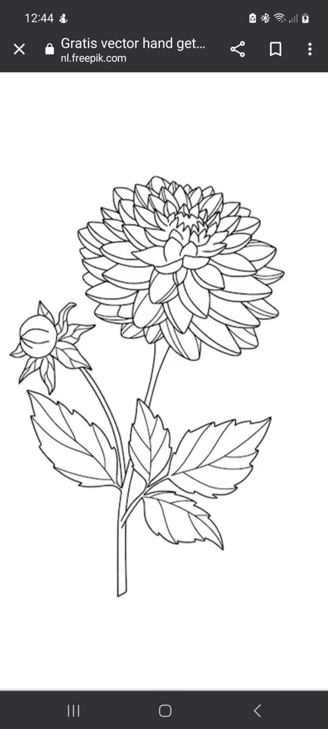 Dahlia Doodle Simple, Dahlia Drawing Sketches, Dahlia Flower Tattoo Simple, Dahlia Line Drawing, Dahlia Line Art, Dahlia Drawing Simple, Simple Dahlia Tattoo, Dalia Flower Drawing, Daliah Flower Tattoos