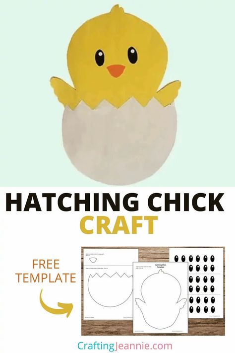 This hatching chicken craft is super cute and super easy to make. It's the Perfect Easter craft for Preschool, Pre-K, kindergarten, homeschool, nursery school and more. #CraftingJeannie #Preschoolcrafts #Kindergarten #Eastercrafts #SpringCraft Easter Craft For Preschool, Kindergarten Easter Crafts, Kindergarten Easter, Chicken Craft, Chick Craft, Craft For Preschool, Classroom Preschool, Easter Kindergarten, Hatching Chickens