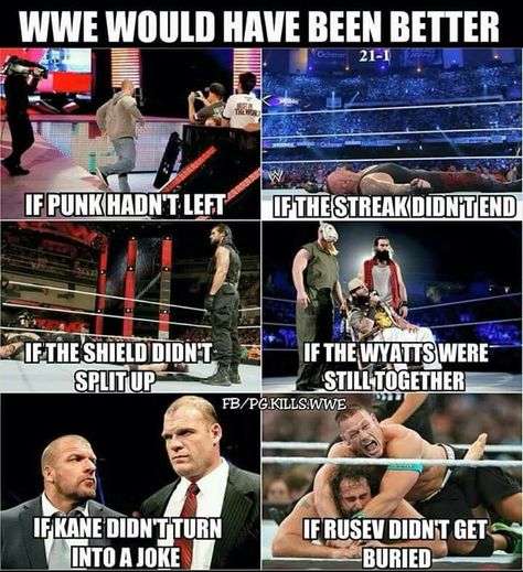 The Undertaker Wwe, Wrestling Funny, Wwe Quotes, Wwe Facts, Wwe Birthday, Wrestling Memes, Wrestling Quotes, Animals Quotes, Wwe Funny