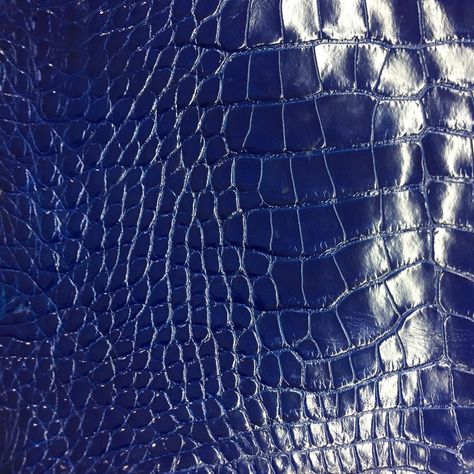 Alligator Skin, Pan American, Crocodile Skin, American Leather, Back In Stock, Deep Blue, Alligator, Cobalt, Leather