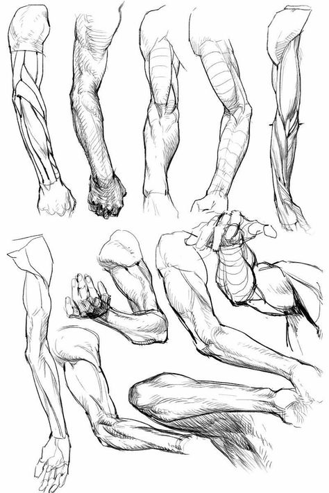 Arm Figure Drawing, Muscle Hand Reference, Muscle Anatomy Pose, Anime Muscles Reference, Arm Art Anatomy, Male Arms Anatomy, Muscle Study Reference, Muscled Arm Reference, Spear Poses Drawing Reference Male