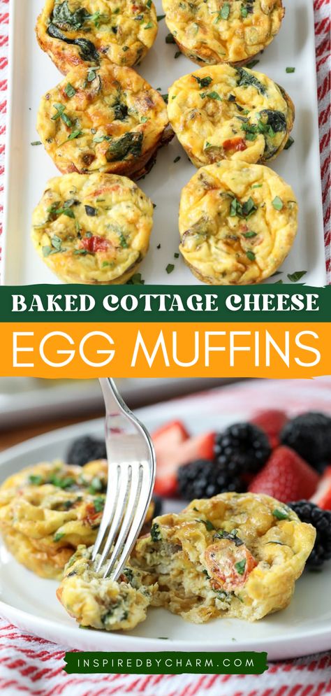 An easy breakfast recipe in muffin tins! These egg bites are also a simple lunch idea. Healthy and protein-packed while being delicious, these Baked Cottage Cheese Egg Muffins are amazing! Save this pin! Cottage Cheese Egg Muffins, Baked Cottage Cheese, Egg Breakfast Muffins, Cottage Cheese Muffins, Blueberry Yogurt Muffins, Egg Muffins Recipe, Cottage Cheese Eggs, Egg Bites Recipe, Egg Muffins Breakfast