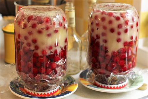 Evans cherry brandy; tipping the jars Sour Cherry Liqueur Recipe, Homemade Spirits, Sour Cherry Recipes, Brandy Recipe, Canadian Recipes, Canadian Dishes, Cocktail Garnishes, Spicy Almonds, Cherry Drink