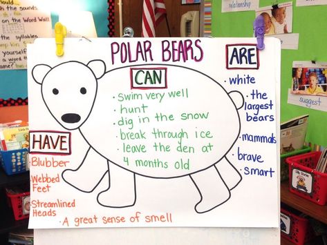 Polar Bear Anchor Chart Polar Bear Writing, Polar Bears Preschool, Polar Bear Unit, Polar Bears Activities, Arctic Animals Preschool, Bears Preschool, Explanatory Writing, Animals Jokes, Penguins And Polar Bears