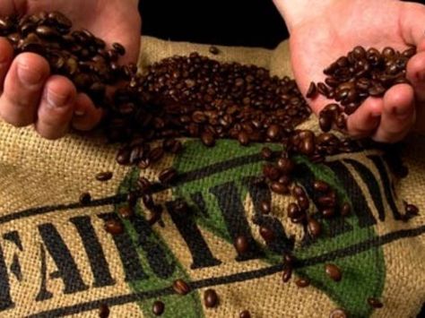 Coffee Market, Coffee Prices, Fair Trade Coffee, Big Coffee, Coffee Business, Coffee Samples, Fair Food Recipes, Organic Coffee, Coffee Company