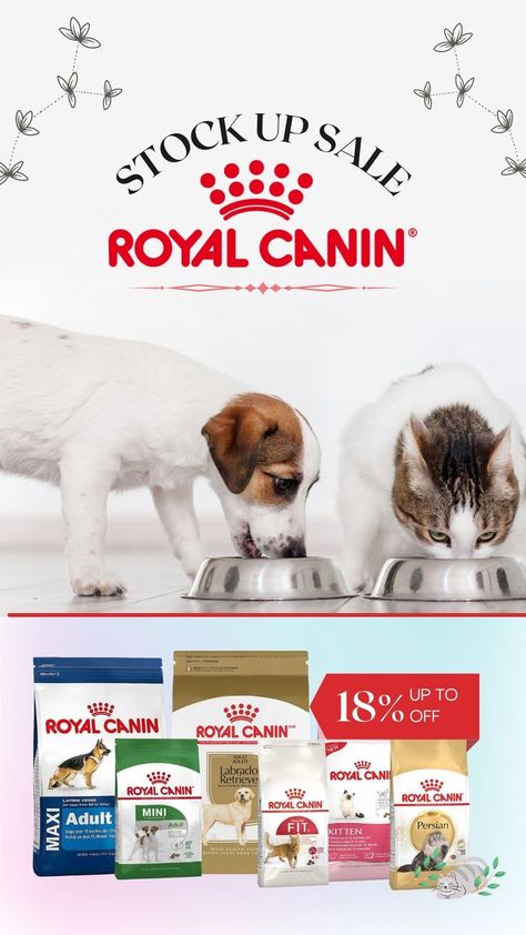 From lil pups🐶 to big doggos🐕, from kittens to fully grown cats🐈, Royal Canin for all ranges is BACK IN STOCK with amazing discounts! Head to our website to order now! Link in bio! Food Cat, Mother Milk, Royal Canin, Giant Dogs, Rottweiler Puppies, Puppy Food, Small Puppies, Large Dog Breeds, Cat Feeding