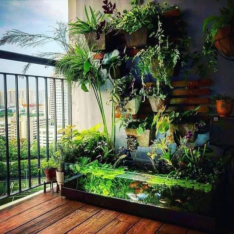 Aquarium Garden, Kolam Koi, Fish Pond Gardens, Fish Tank Terrarium, Amazing Aquariums, Taman Air, Fish Tank Design, Aquascape Design, Indoor Water Garden