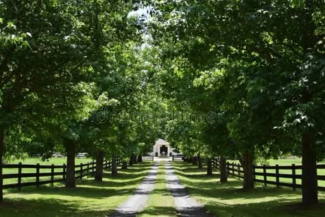 Country Property Landscaping, Land Ideas Acres, Tree Lined Driveway Country Farms, Long Country Driveway, Farm Driveway Entrance, Long Driveway Ideas, Acreage Landscaping Ideas Country Life, Rural Driveway, Long Driveway Landscaping