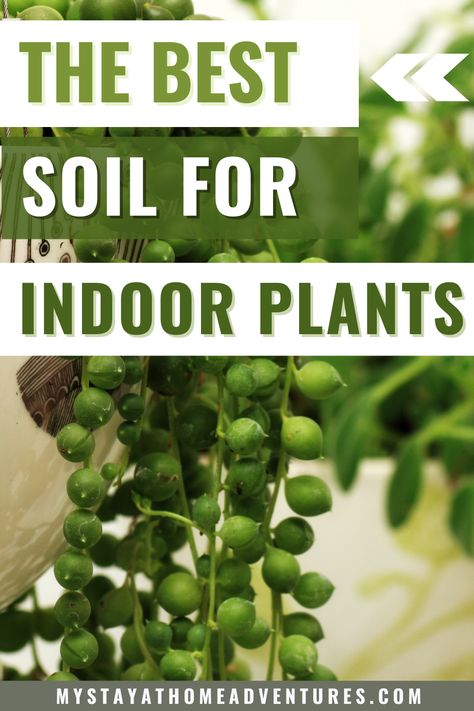 Mixing Soil For Houseplants, Best Plant Soil, Potting Indoor Plants Tips, Fertilizing Indoor Plants, House Plant Soil Recipe, Best Potting Mix For Indoor Plants, Best Soil Mix For Indoor Plants, Diy Potting Soil House Plants, Soil Mixture For Indoor Plants