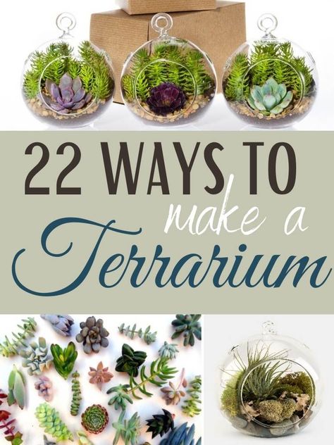 Diy Faux Terrarium, Terrarium Globe Ideas, Fun Terrarium Ideas, Small Hanging Terrarium Ideas, Teranium Ideas Centerpieces, Hanging Terrarium Ideas, Mini Terrarium Ideas, Terrarium Animals, Diy Terrariums