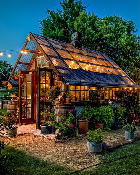 Modern Greenhouses Diy, Beautiful Greenhouse Ideas, Diy She Shed Greenhouse, Reclaimed Greenhouse Ideas, Walk Through Greenhouse, Greenhouse With Shed, Greenhouse In The Woods, Greenhouse Reclaimed Windows, Greenhouse Made With Old Windows