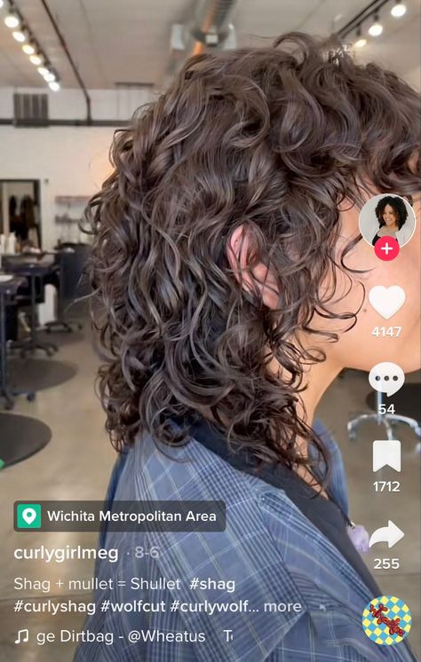 Gender Neutral Curly Hair, Curly Hair Shags, Women’s Curly Mullet, Curly Shullet Hairstyles, Semi Mullet Women, Shullet Curly Hair, Shullet Hairstyles Curly, Soft Mullet Haircut Curly, Curly Haired Mullet