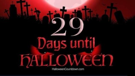 Days Until Halloween, 29 Days, Halloween Countdown, Jack And Sally, Candy Party, Halloween Makeup, Halloween Party, Halloween Costumes, Neon Signs