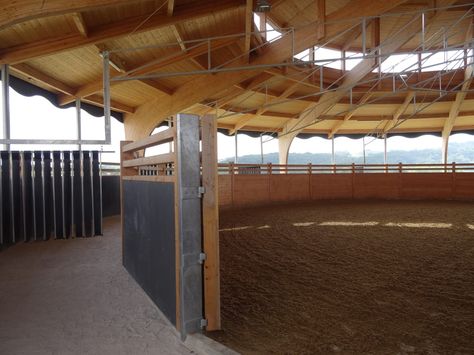 Combined horse walker and lunge ring (Molenkoning) Stable Inspiration, Horse Walker, Stable Ideas, Horse Water, Horse Arena, Horse Barn Designs, Dream Stables, Diy Horse, Indoor Arena