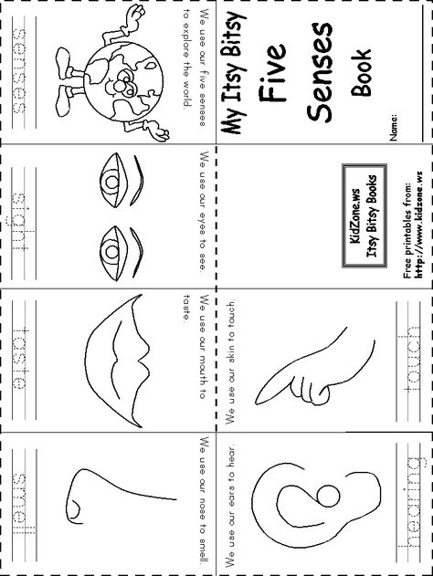 5 senses book - this goes great with Frog Street curriculum since Itsy Bitsy Spider and 5 senses are taught close together. Make those connections! Senses Kindergarten, 5 Senses Preschool, 5 Senses Worksheet, Five Senses Worksheet, Five Senses Preschool, 5 Senses Activities, Senses Preschool, My Five Senses, Senses Activities