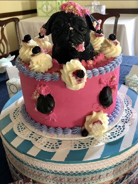 Pug Cakes, Pug Birthday Cake, Pug Party, Pug Cake, Llama Cake, Pug Birthday, Black Pugs, Dog Cupcakes, Dog Birthday Cake