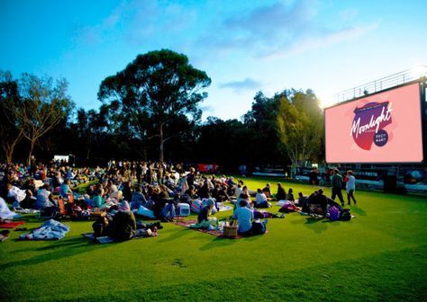 summer fundraising ideas for nonprofits Unique Fundraisers, Open Air Cinema, Movies Under The Stars, Vans Warped Tour, Outdoor Cinema, Fundraising Tips, Film Festivals, Kings Park, Drive In Movie