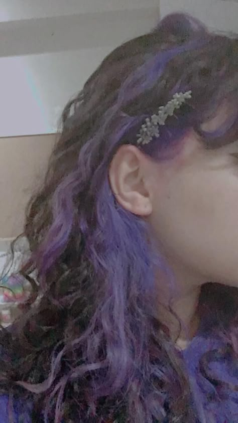 Cute Hair Dyes For Curly Hair, 80s Highlights Hair, Brown Colorful Hair, Brown Purple Split Dye, Purple Streaks In Brown Hair Curly, Purple Underneath Hair Curly, Purple Peekaboo Highlights Curly Hair, Purple Underdye Hair Curly, Curly Purple Highlights