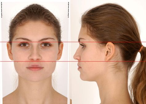 Face Reference Face Studies, 3d Topology, Drawing The Human Head, Head Reference, Face Proportions, Face Angles, Face Profile, Face Drawing Reference, Model Sheet