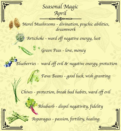 Quick guide to April seasonal produce and its magical properties. Magical Properties Of Cedar, April Magical Correspondences, Parsley Magical Properties, Allspice Magical Properties, April Correspondences, April Magick, Magick Correspondences, Herb Properties, Herbal Properties