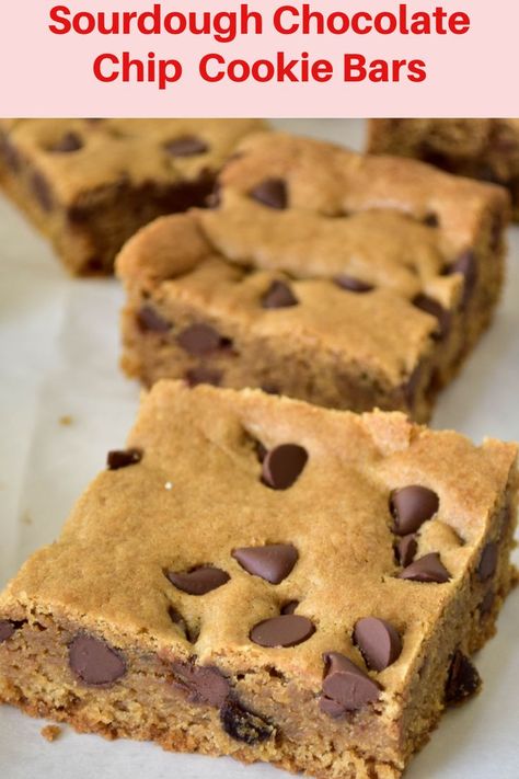 Sourdough chocolate chip cookie bar is like having two worlds in one, yes cookies and bars. They are soft and chocolatey goodness with notes of brown sugar, vanilla, and touch of sourdough. #sourdough #chocolatechipcookiebars #cookiebars Sourdough Bar Cookies, Sourdough Sugar Cookie Bars, Sourdough Chocolate Chip Cookie Bars, Easy Sourdough Chocolate Chip Cookies, Sourdough Discard Cookie Bars, Sourdough Cookie Bars, Sourdough Bars, Sourdough Cookies Recipe, Sourdough Dessert Recipes