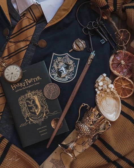 Hufflepuff Aesthetic, Harry Potter Book, Harry Potter Items, Harry Potter Halloween, Harry Potter Hufflepuff, Images Harry Potter, Harry Potter Draco Malfoy, Hogwarts Aesthetic, Harry Potter Room