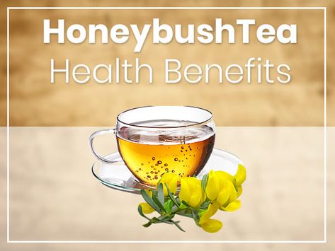 Discover the remarkable benefits of honeybush tea, from boosting immunity to promoting relaxation and improving digestion. Sip your way to better health! - #Advantages #benefits #boons #gains #healthbenefits #merits #perks #pluses #positiveeffects #pros #virtues International Tea Day, Honeybush Tea, Tea Day, Food Chemistry, No Caffeine, Rooibos Tea, Sugary Food, Tea Benefits, Herbal Infusion