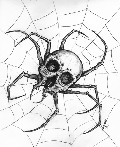 Spider In Web Drawing, Spider Skeleton Drawing, Spider Nest Drawing, Arachnid Tattoo, Spider Skeleton, Spider And Web Drawing, Drawings Of Spiders, Web Drawing, Spider Skull Tattoo