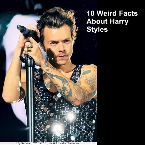 10 weird facts about Harry Styles Anne Cox, Harry Styles Facts, Weird Gifts, Marriage Equality, Celebrity Biographies, Cover Songs, Fleetwood Mac, Talent Show, Hit Songs