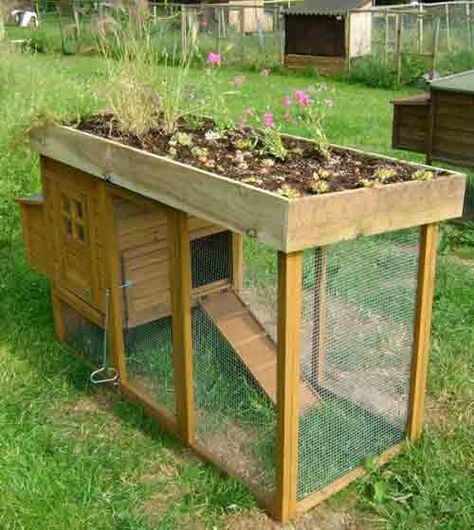 Bunny Hut Chicken Coop Pallets, Small Chicken Coops, Easy Chicken Coop, Chicken Barn, Chicken Coup, Chicken Tractors, Diy Chicken Coop Plans, Chicken Tractor, Coop Ideas