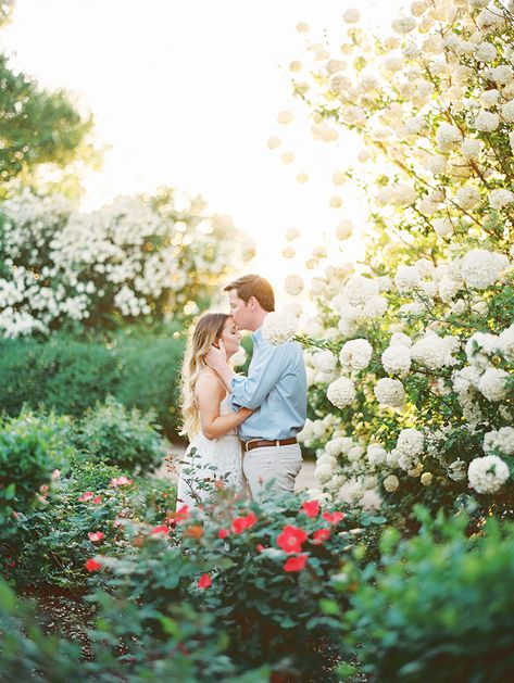 Tattoo Plant, Cute Engagement Photos, Garden Engagement, Fun Engagement Photos, Couple Engagement Pictures, Engagement Photos Country, Spring Engagement Photos, Dallas Arboretum, Engagement Shots