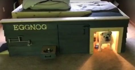 Eggnog is a bulldog who’s got his very own Amazon-controlled dog house Dog House Ideas, Custom Dog Houses, Dog House Plans, Cool Dog Houses, Dog House Diy, Dog Pen, Dog Ramp, Dog Steps, Cool Dog Beds