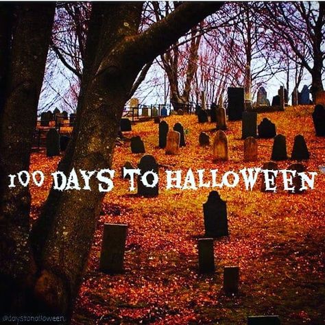 𝕽𝖆𝖈𝖍𝖊𝖑 𝕲𝖗𝖊𝖊𝖓🎈 on Instagram: “Happy 100 Days till Halloween🎃👻🖤🕸🕷🦇💜🧡🍂🍁” Days Till Halloween, Rachel Green, Halloween Pictures, Halloween Horror, 100th Day, 100 Days, Time Of The Year, Wonderful Time, The 100