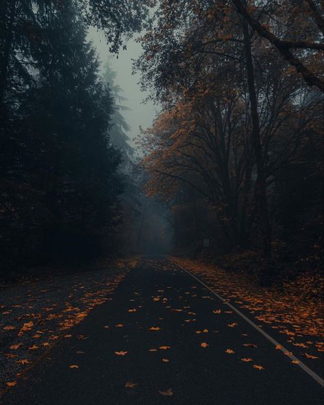 Tacoma & Seattle Photographer в Instagram: «Fall into place 🍂 . . . . . . . #TacomaWA #TacomaWashington #Tacoma_WA #TacomaPhotography #TacomaPhotographer #GritCity #SeattlePhotography…» Klein Morreti, Dark Fall Aesthetic, Autumn Dark, Seattle Photography, Dark Fall, Fall Mood Board, Autumn Rain, Last Kiss, Dark Autumn