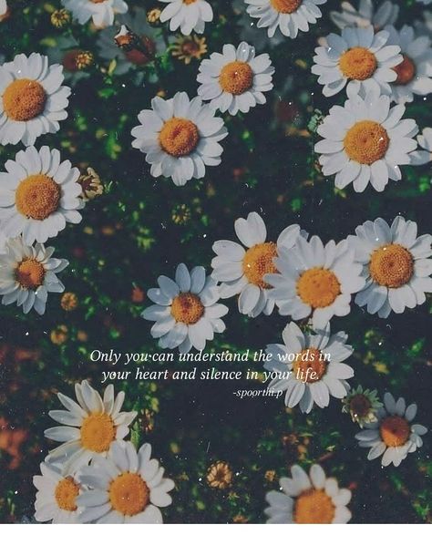 #coolbackground #aesthetic #aestheticbackground #flower #thoughts #quotes Poem Love, Flower Background, Heart Quotes, The Words, Best Friend, Quotes