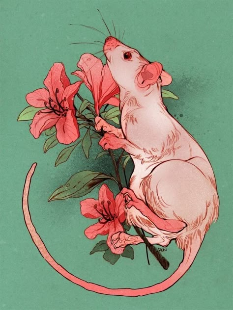 Rat Drawing, Arte Indie, A Rat, Cute Animal Drawings, 귀여운 동물, Animal Illustration, A Drawing, A Mouse, Pretty Art