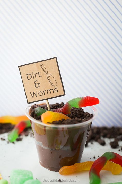 Dirt & Worms Recipe for Kids - such a fun treat for kids! Spring Treats For Kids, Butterfly Snack Bags, Easy Spring Treats, Nature Snacks, Butterfly Snacks, Homemade Gummy Bears, Theme Snack, Spring Baking, Spring Treats