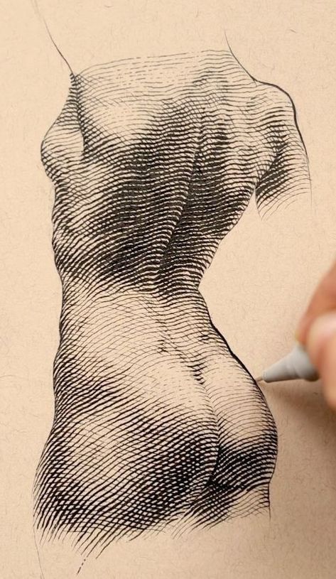 Sculpture Illustration Drawings, Crosshatching Tattoo, Hatching Drawing Sketches, Cross Hatching Art, Crosshatching Drawing, Hatching Sketch, Cross Hatching Drawing, Torso Sketch, Hatching Drawing