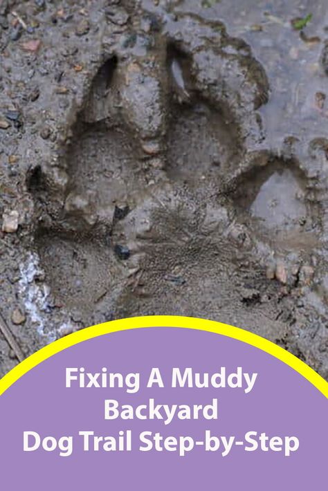 Fixing A Muddy Backyard Dog Trail Step-by-Step Grass For Dogs Backyards, Pet Friendly Yard Ideas Backyards, Landscaping Muddy Areas Backyards, Diy Dog Washing Station Outdoor Backyard, Backyard Mud Solutions, Dogscaping Backyards, Kid And Dog Friendly Back Yard, Pea Gravel Dog Area, Dog Patio Ideas Backyards