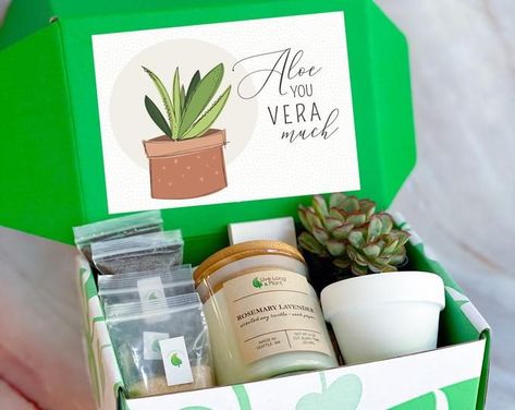 Terrarium Gifts, Diy Terrarium Kit, Diy Succulent Terrarium, Live House Plants, Diy Terrarium, Live House, Diy Kits For Adults, Succulent Gift, Gift Boxes For Women