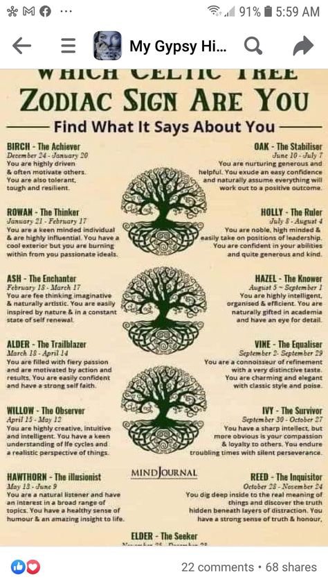 Celtic Tree Zodiac, Tree Zodiac, Celtic Zodiac Signs, Celtic Tree Astrology, Celtic Zodiac, Deep Knowledge, Diy Copper, Celtic Traditions, Witch Spirituality