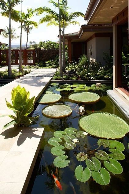 Love it when the koi pond is integrated into the outdoor living space rather than relegated to a back corner if the yard! #gardendesign Large Pond, Kolam Koi, Tropical Landscape Design, Fish Pond Gardens, Garden Pond Design, Pond Landscaping, Backyard Water Feature, Pond Design, Lighting Chandeliers