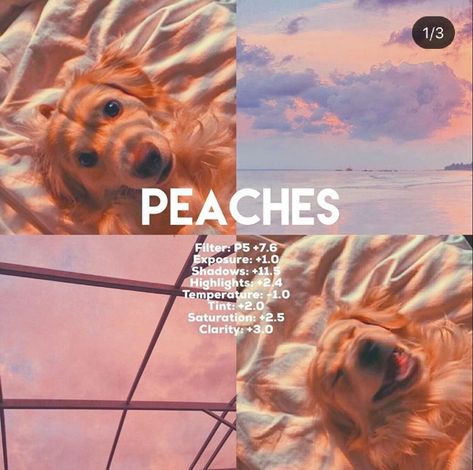 Vsco Filter Free, Photography Dslr, Vsco Filter Instagram, Vsco Themes, Best Vsco Filters, Vintage Photo Editing, Photography Names, Vsco Pictures, Phone Photo Editing