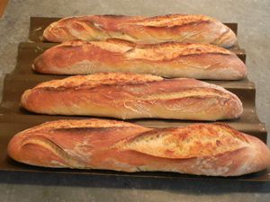 Sourdough Baguette Recipe, Baguette Recipe, Baguette Bread, French Baguette, Baking Stone, European Food, Fermenting, Sourdough Starter, Recipe Using