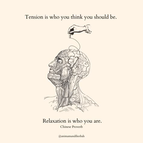 Tension (n.) from the Latin root “tendere”, meaning to stretch. In casual conversation, tension is often confused with constriction or conflict, but this physical or emotional stretch—“tension” in French is translated as “a stretched condition”—is actually an opportunity to release, to let go, and to ease into acceptance. Nature Witch, Types Of Meditation, Divine Feminine Spirituality, Poetry Words, Healing Journey, Women In History, Bible Verses Quotes, Divine Feminine, Pretty Words