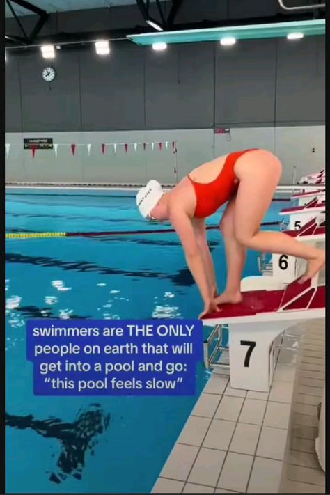 Competitive Swimming Pictures, Swim Motivation, Swimmer Memes, Swimmer Girl, Take It Day By Day, Swimming Jokes, Swimming Aesthetic, Swim Quotes, Swimming Posters