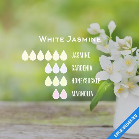 White Jasmine | DiffuserBlends.com Jasmine Essential Oil Blends, Jasmine Oil Blends, Honeysuckle Essential Oil, Gardenia Essential Oil, Essential Oil Perfume Blends, Essential Oil Perfumes Recipes, Essential Oil Diffuser Blends Recipes, Perfume Recipes, Jasmine Essential Oil