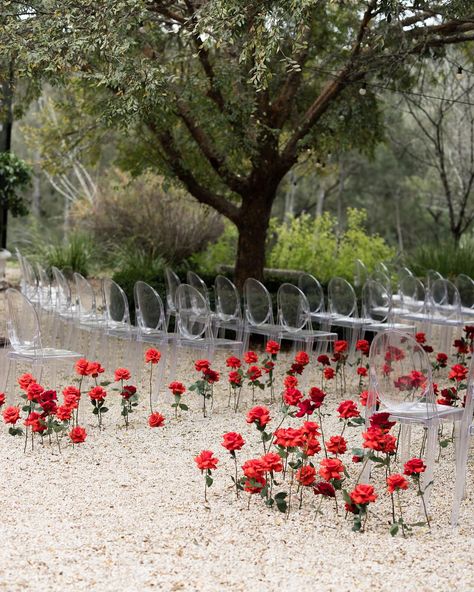 En masse red roses lead the way to the most dreamy ceremony for Monty and Mark at @redleafwollombi 🌹 Styled and coordinated by @yourdaybychloe Photography by @megankelly.studio Wedding Isles, Fruit Wedding, Marsala Wedding, Red Rose Wedding, Aisle Flowers, Indoor Ceremony, Palm Springs Wedding, Ceremony Inspiration, Ceremony Flowers